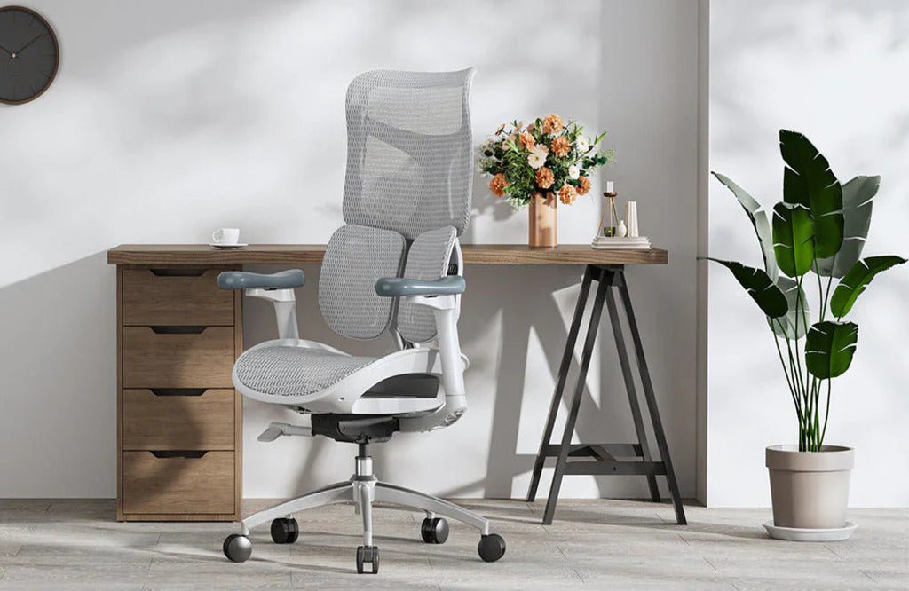 Ergonomisch oder Orthopädisch? Der ultimative Guide für den richtigen Bürostuhl