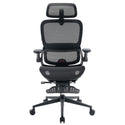 B100 Pro Ergonomischer Bürostuhl