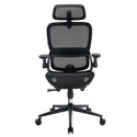 Sihoo B100 Pro Ergonomischer Bürostuhl