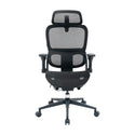 Sihoo B300 Pro Ergonomischer Bürostuhl