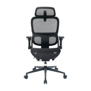 Sihoo B300 Pro Ergonomischer Bürostuhl