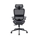 Sihoo B100 Ergonomischer Bürostuhl mit hochklappbaren Armlehnen