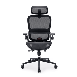 Sihoo B100 Ergonomischer Bürostuhl mit hochklappbaren Armlehnen